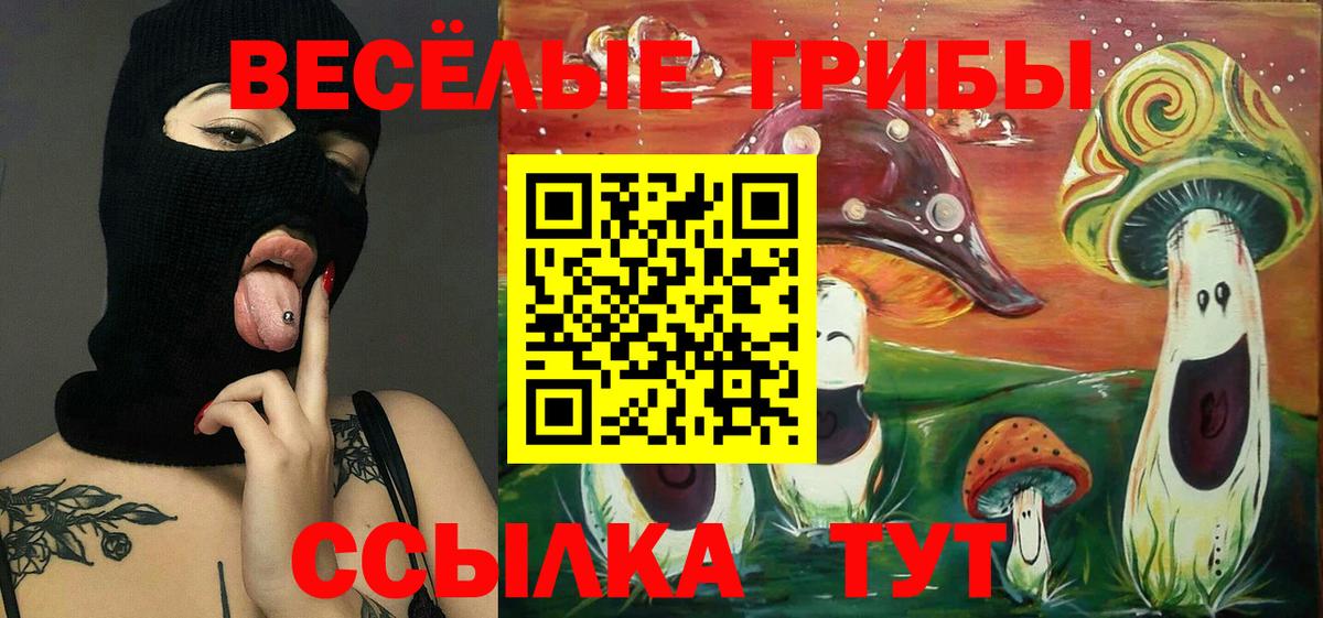 Джанкой  Галлюциногенные грибы Psilocybine cubensis  Вход с VPN 